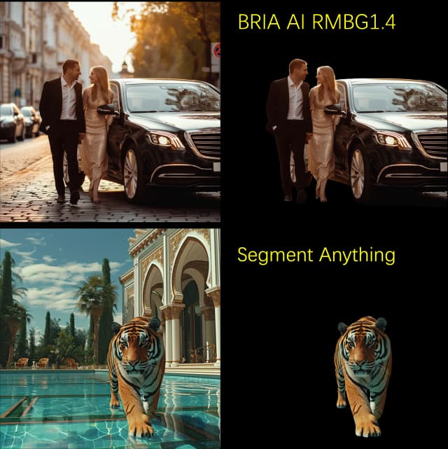 BRIA AI RMBG 1.4 vs Segment Anything | Remoção de Fundo